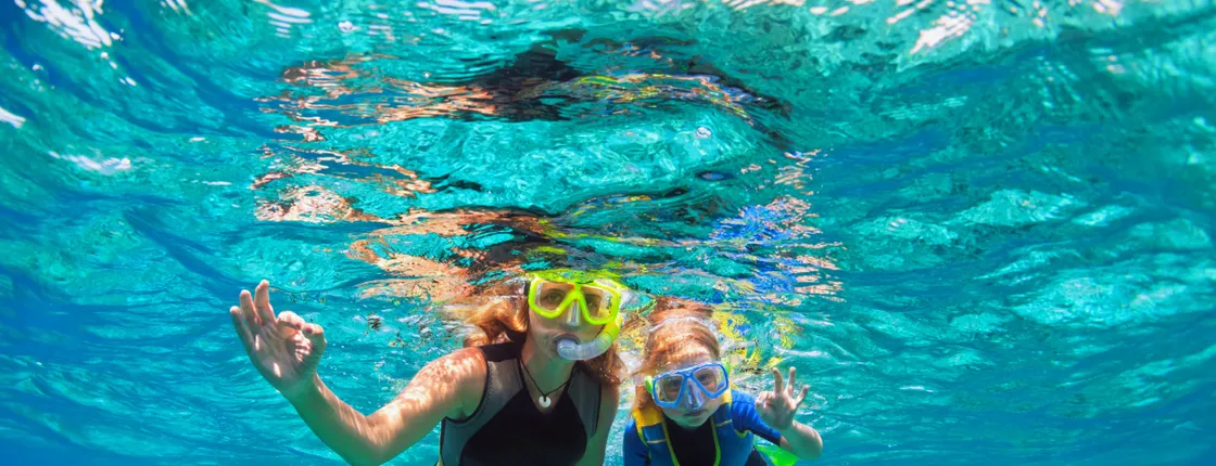 Palm Pleasure catamaran afternoon snorkeling tour