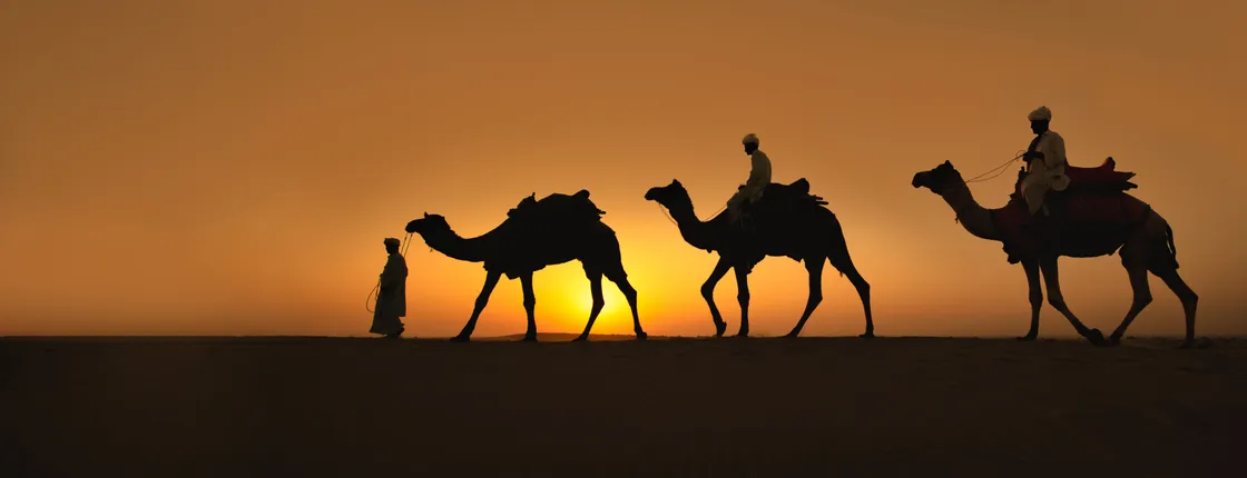 Naqb National Park in a 4x4 with camel ride and dinner