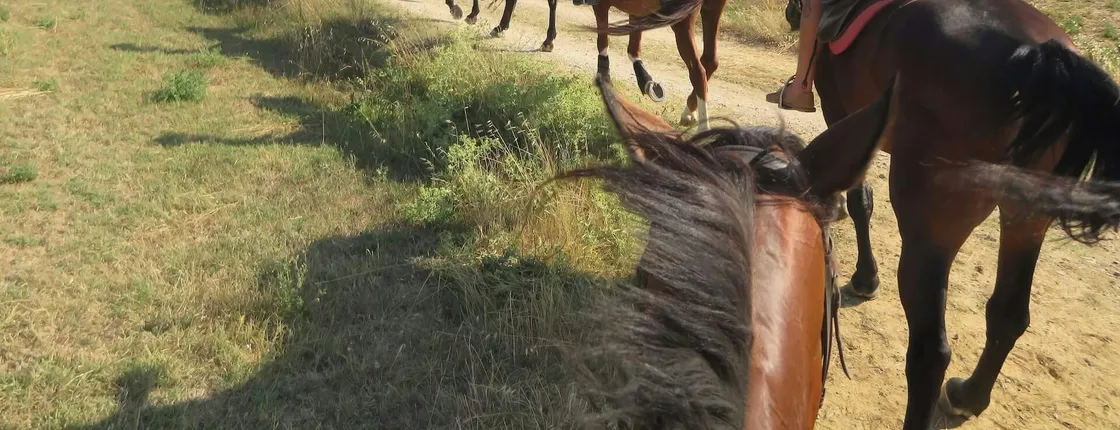 Horseback riding tour in Tuscany