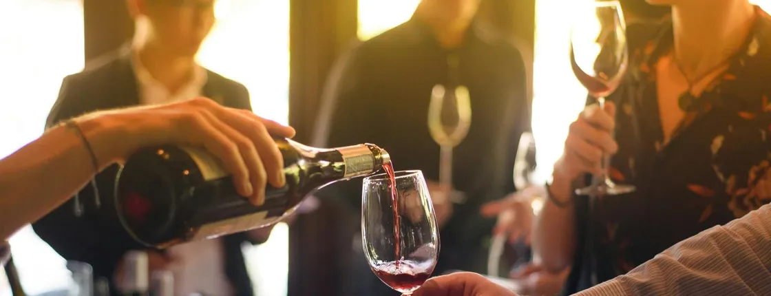 Wine tasting and vineyard guided tour from Nice
