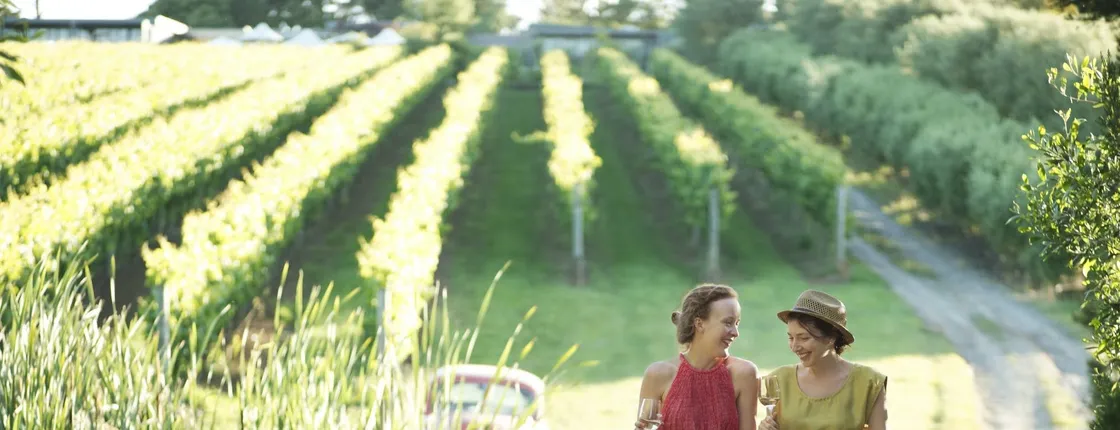 Mornington Peninsula food and wine taste trail guided tour