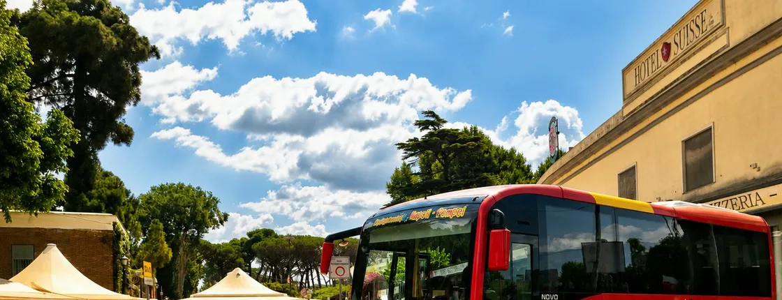 Day tour to Pompeii from Naples