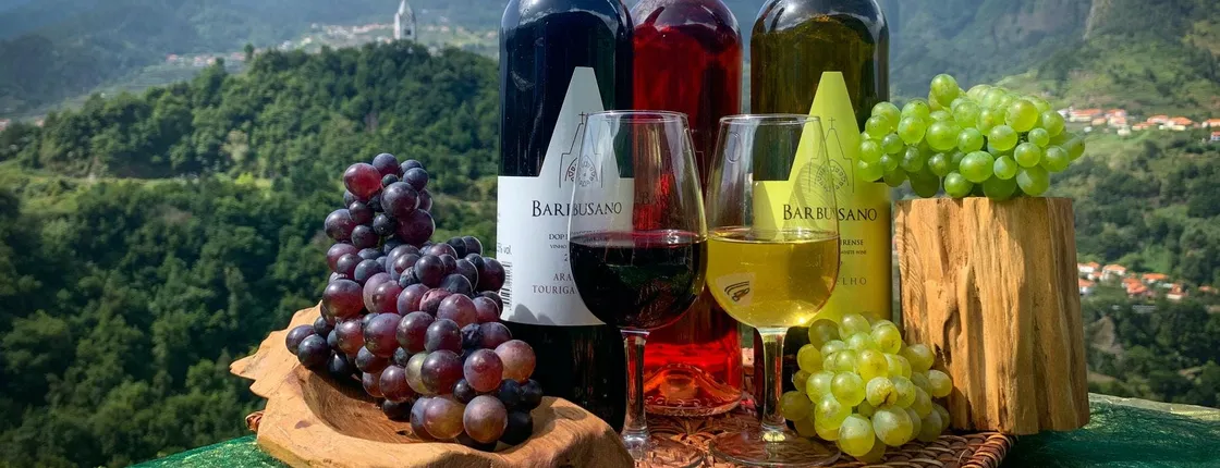 Madeira nature & wine tasting experience in open roof 4x4 tour