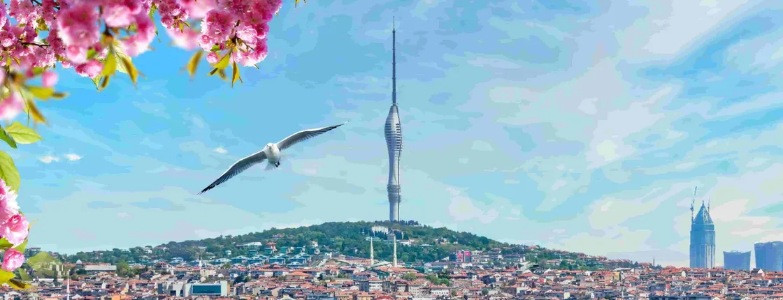 Istanbul Camlica Tower Entry Ticket with Free Tea or Turkish Coffee