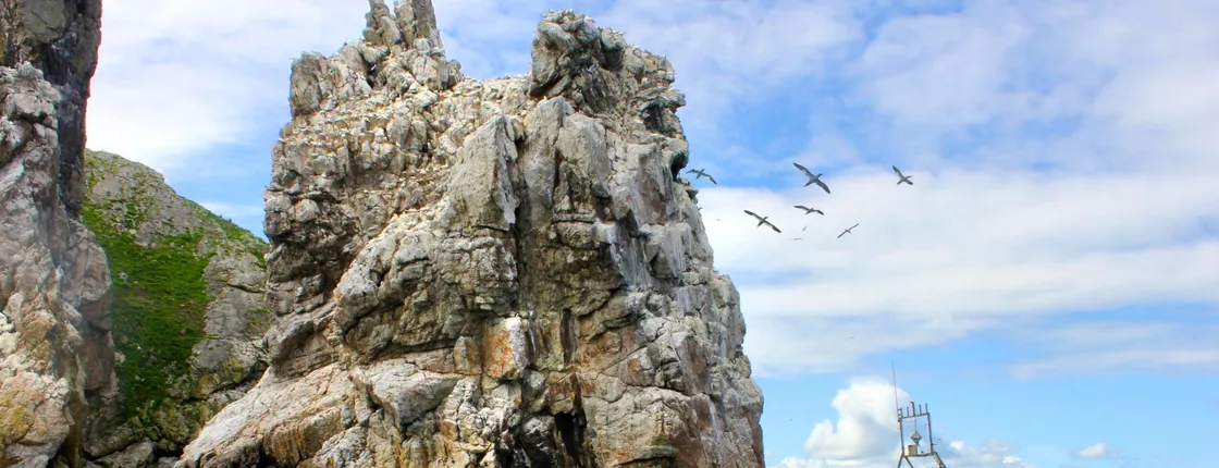 Howth coastal 1-hour boat tour