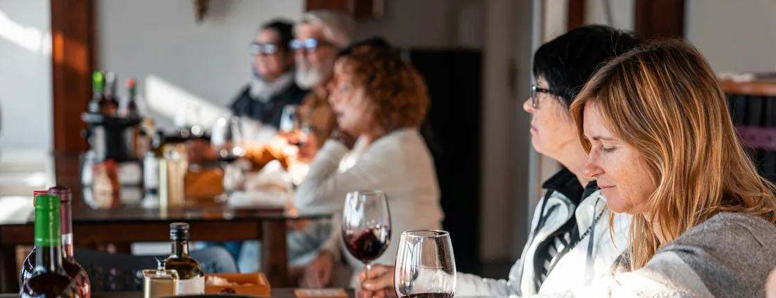 Douro Valley wine tour with 2 wineries, lunch and river cruise