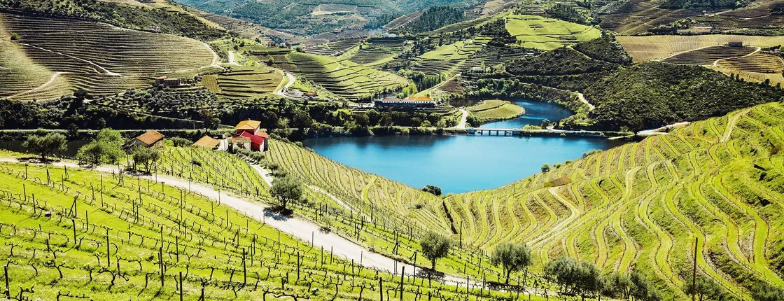 Douro Valley small-group tour with 2 wineries, lunch and river cruise