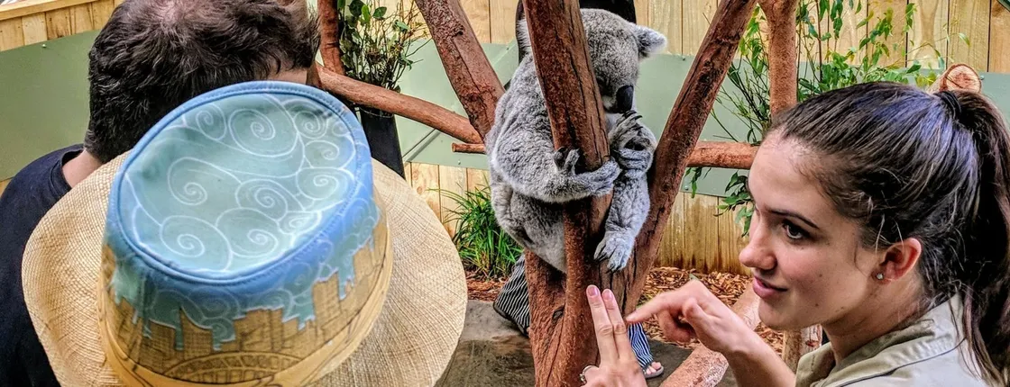 Wildlife, waterfalls and wine full-day private tour from Sydney