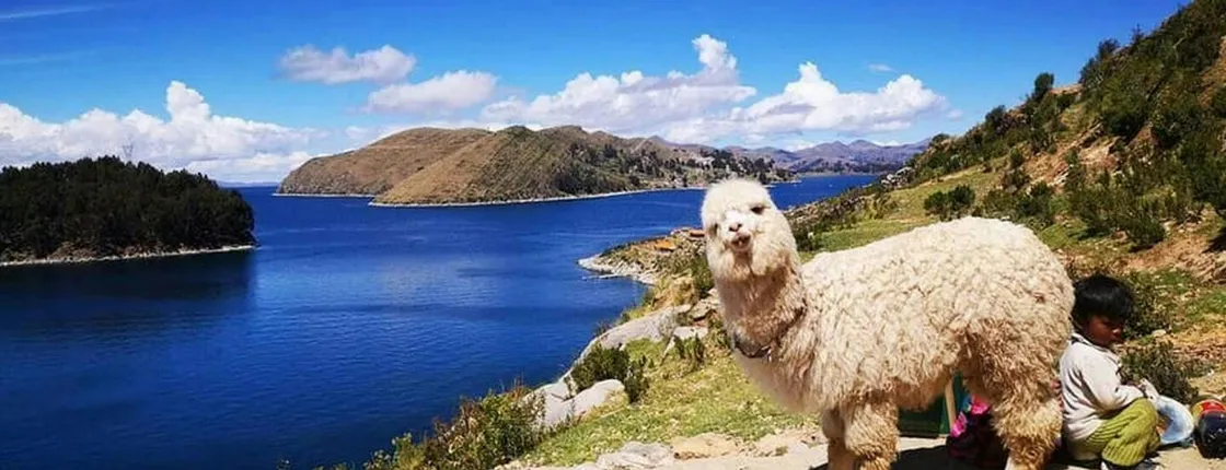 Copacabana and Isla del Sol guided day trip from La Paz
