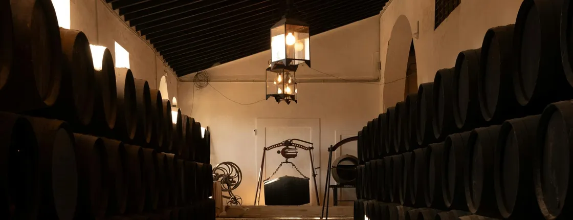 Seville Bodegas Góngora premium tour with tasting experience