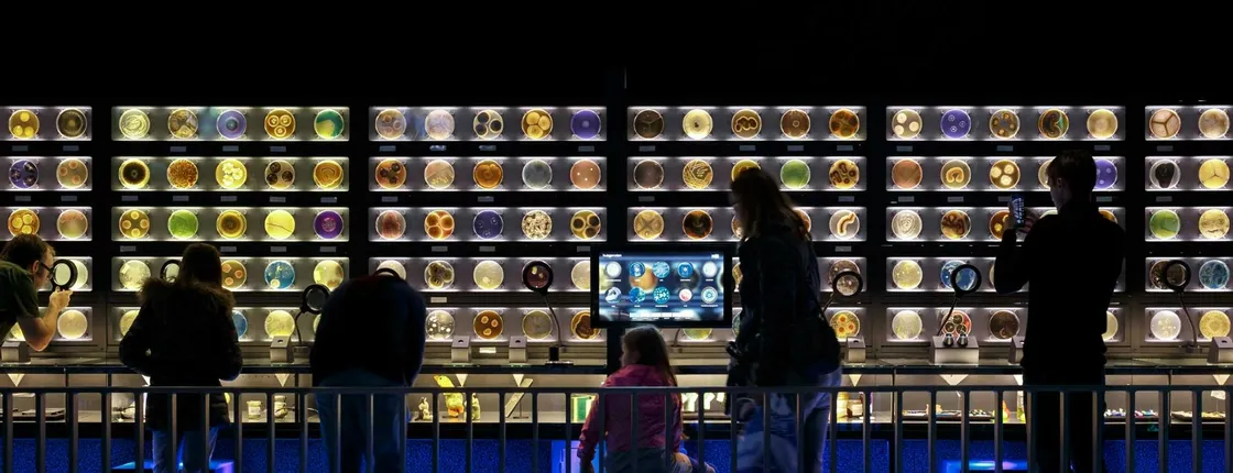 Amsterdam Micropia entrance ticket