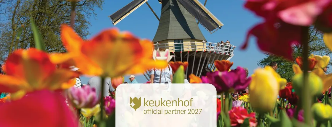 Tour from Amsterdam to Keukenhof and Dutch countryside