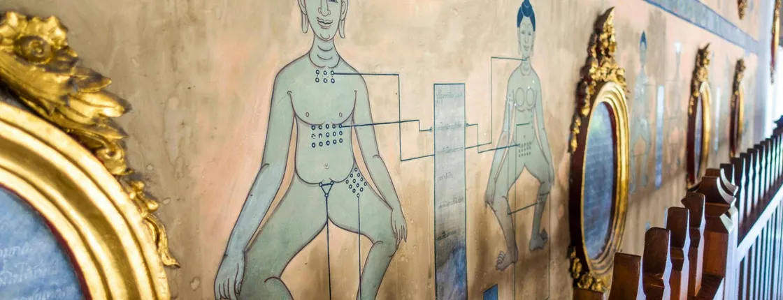 Wat Pho highlights tour with 1-hour massage and hands-on training