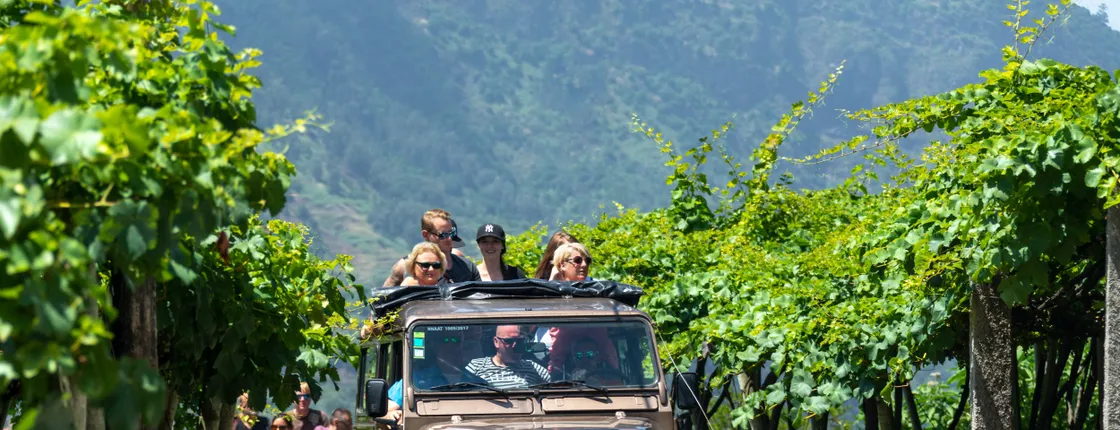 Madeira 4x4 tour and wine-tasting experience
