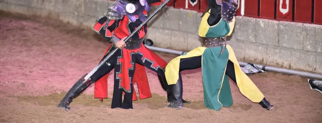 Tenerife Medieval Show with Transfer
