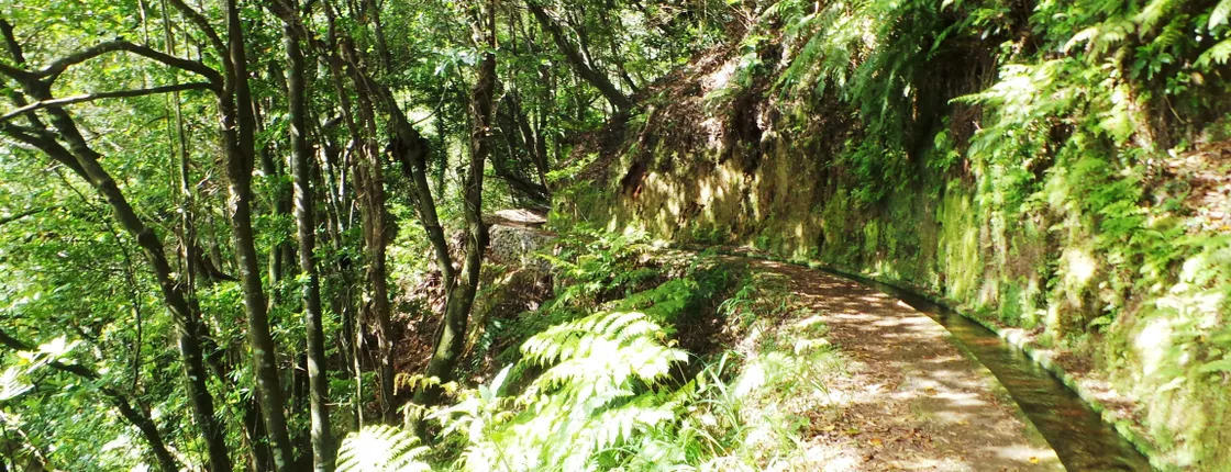 Hidden Corners Walk