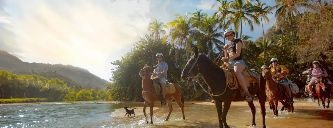 Banderas Bay sea safari and horse ride ticket
