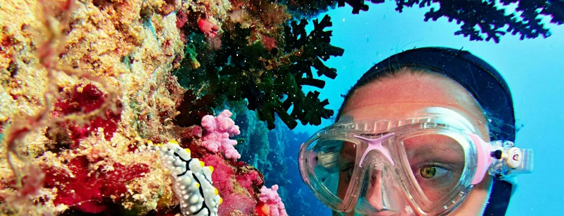 Red Sea diving experiences in Hurghada with transfer