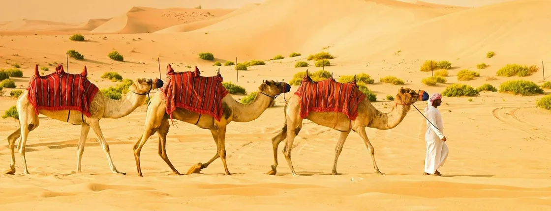 Morning desert safari with dune bashing, sandboarding, and camel ride