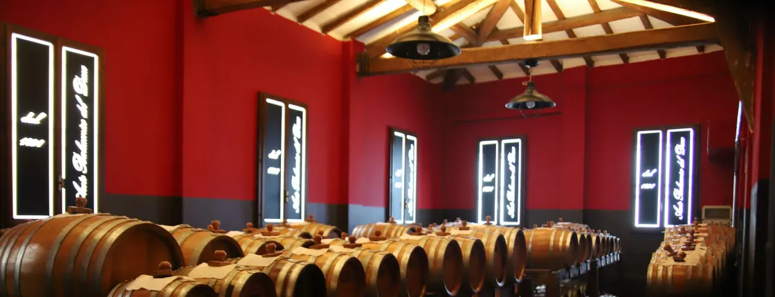 Tasting tour of balsamic vinegar of Modena at Aceto Balsamico del Duca