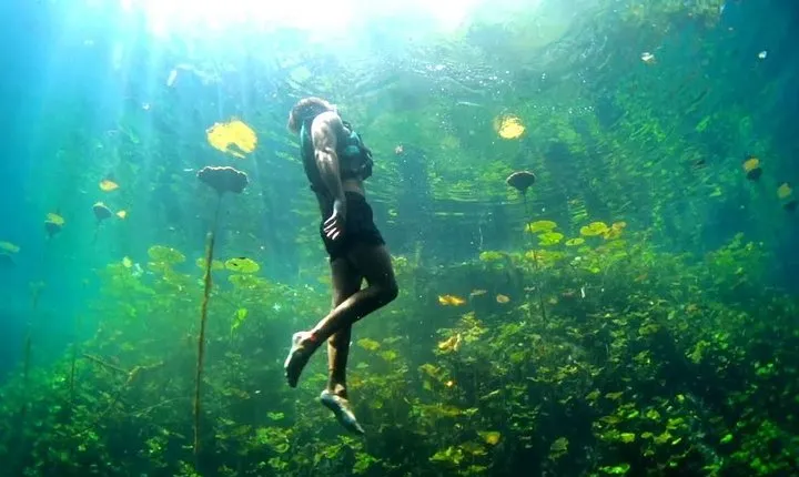 Xcaret 4-Cenotes-Guided Tour- Snacks, Lunch and Drinks included 