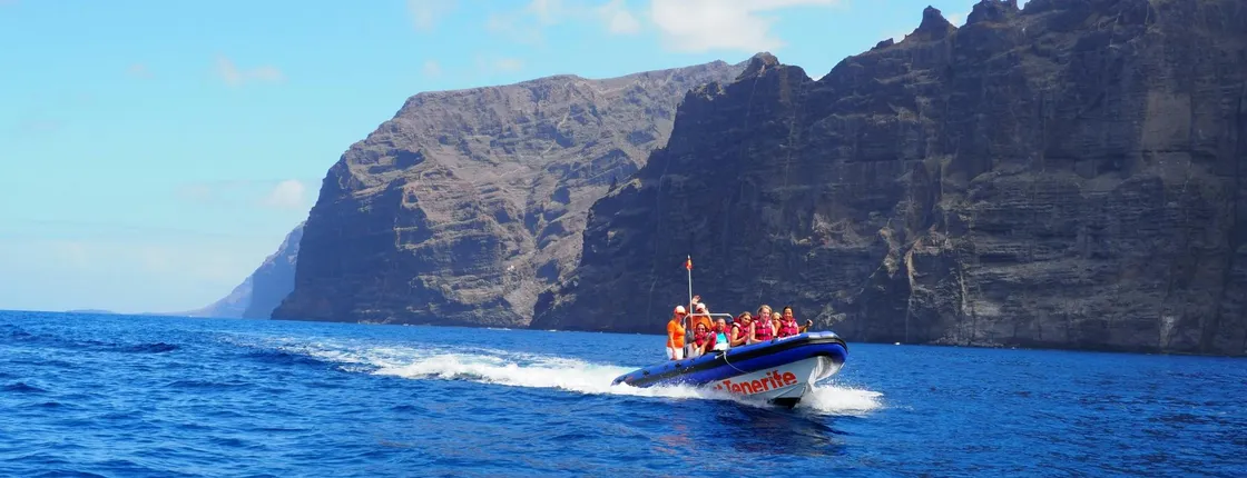 Small-group boat tour along the Cliffs of Los Gigantes to Punta Teno
