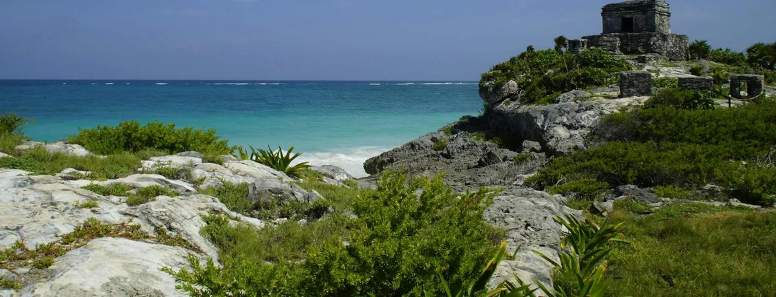 Tulum and Swimming with Turtles Private Tour