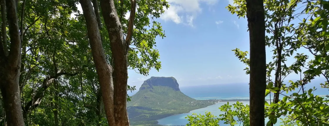 Mauritius Nature Eco-Tour with Ebony Forest Visit