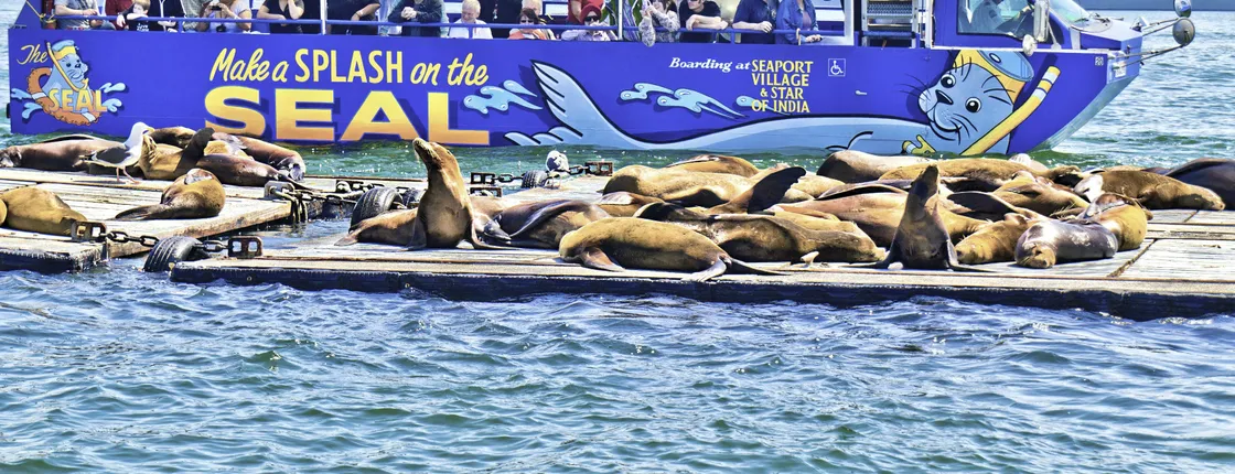 San Diego SEAL Tour at Seaport Village