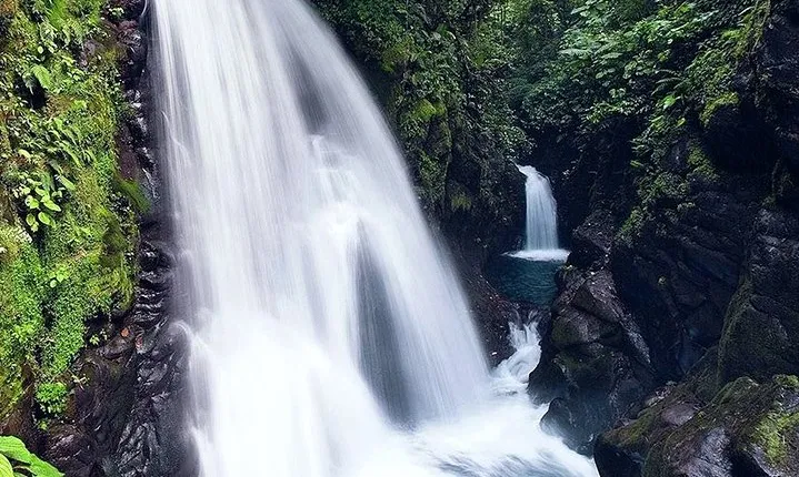 La Paz Waterfall Gardens and Wildlife Refuge Tour from San Jose