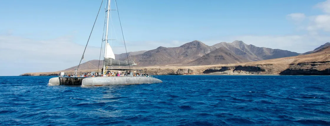 Magic catamaran cruise in Fuerteventura