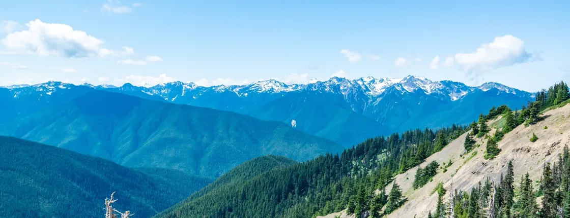 Olympic National Park full-day tour from Seattle