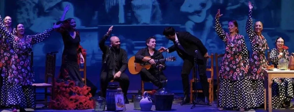 Flamenco Fusion live show – ticket only
