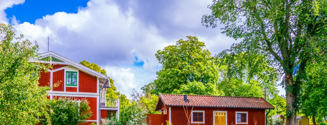 Delightful Djurgården private walking tour
