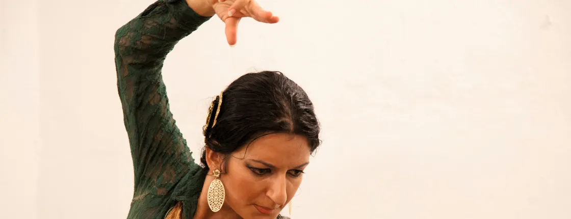 VIP La Sala Coliseo Flamenco Show with Transport