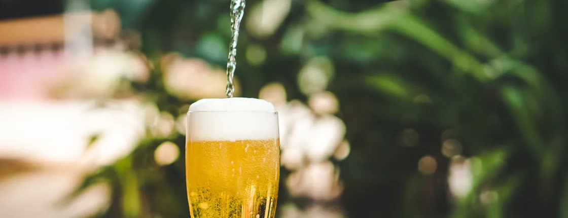 Discover a local brewery in Marseille