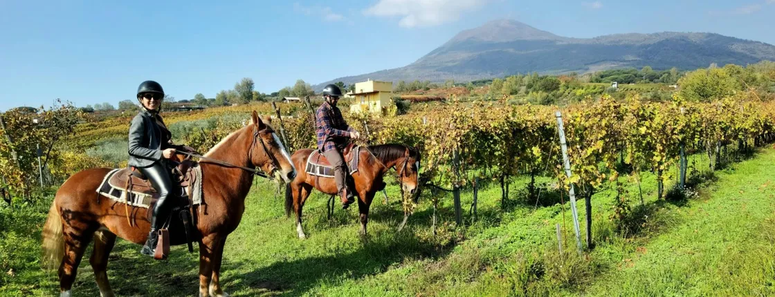 Mount Vesuvius horseback riding adventure