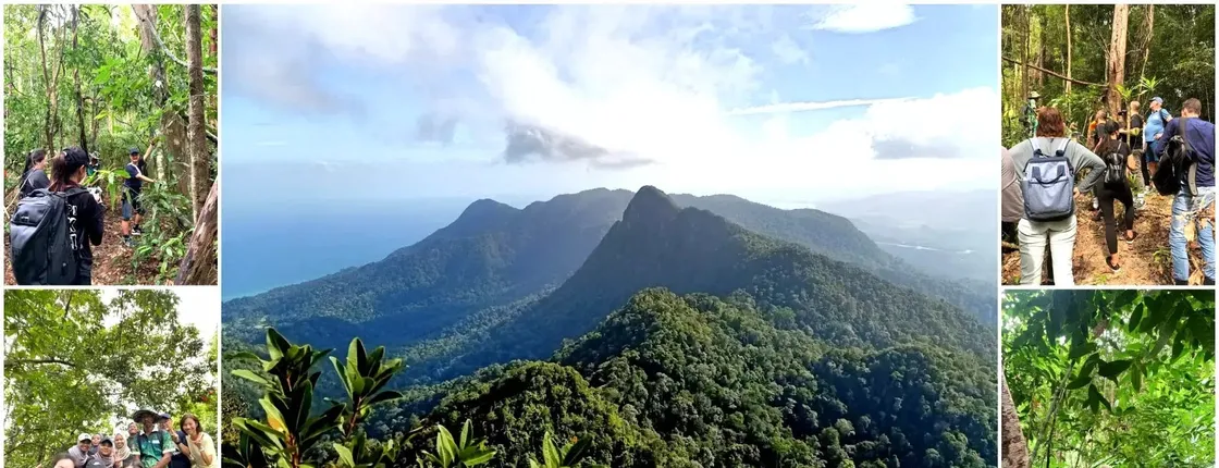 Mount Matchinchang Geoforest Park summit hiking experience