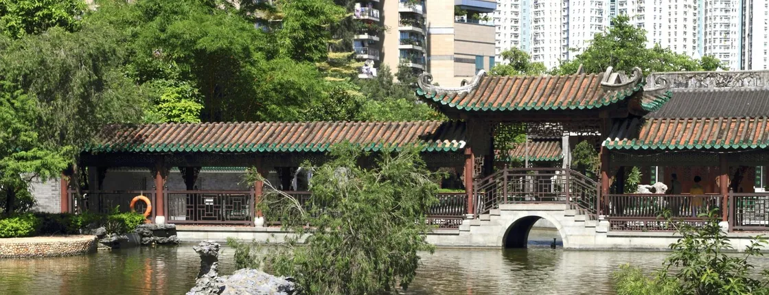 Guangdong Shunde Food Tour from Guangzhou