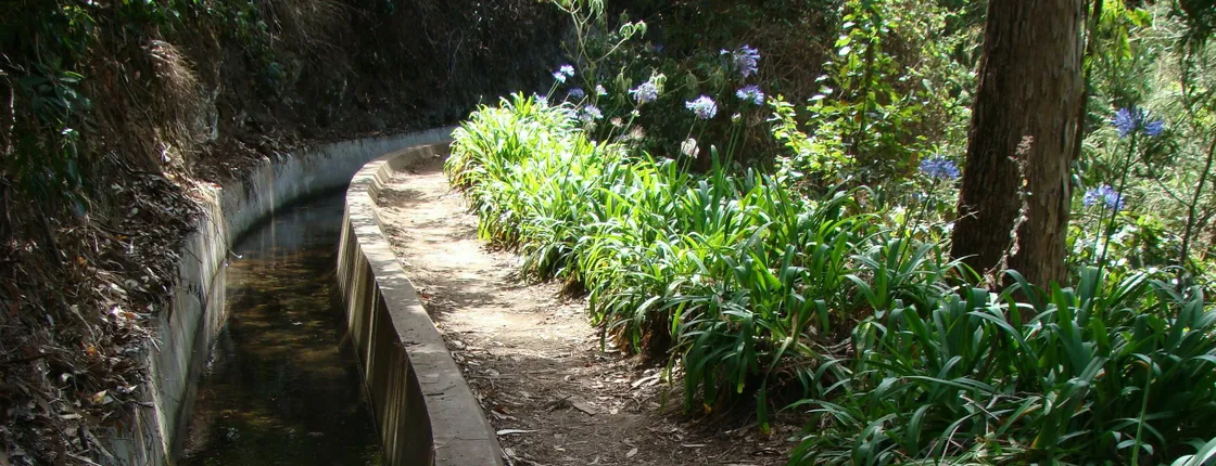 Paradise Valley Walk