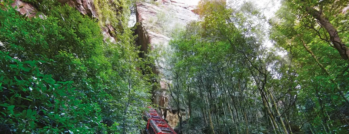 Blue Mountains guided tour with Sydney Zoo and Scenic World visit