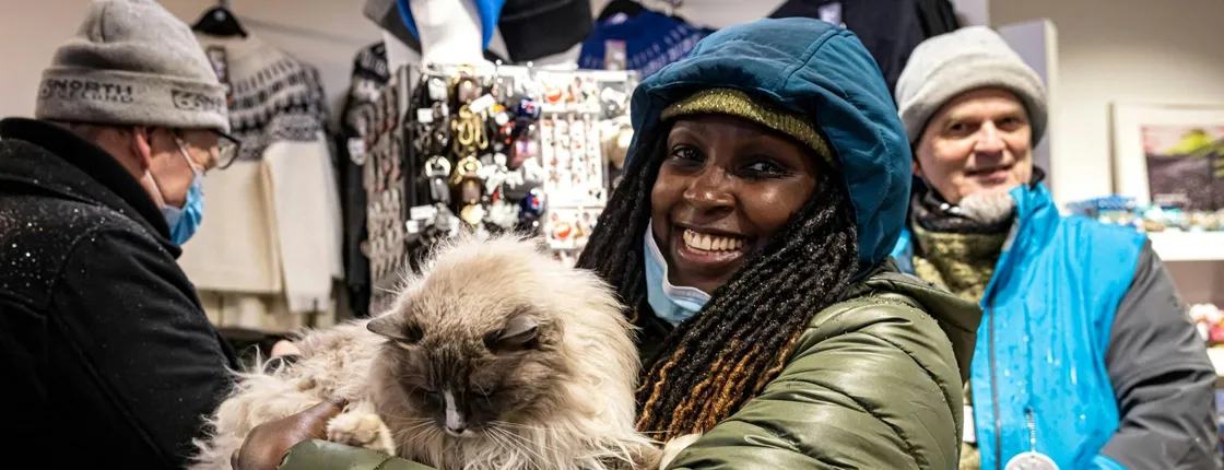 Cat walking tour in Reykjavik
