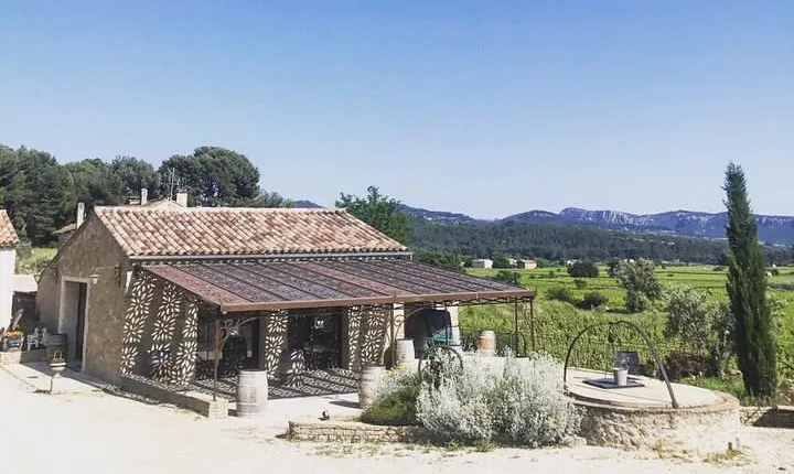 Tasting Bandol Wines & Visit of Cellar (in English)