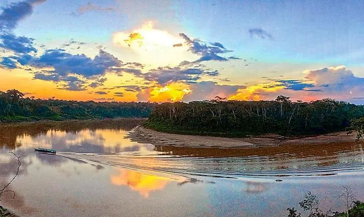 4 Day Tambopata Amazon Wildlife & Canopy Experience