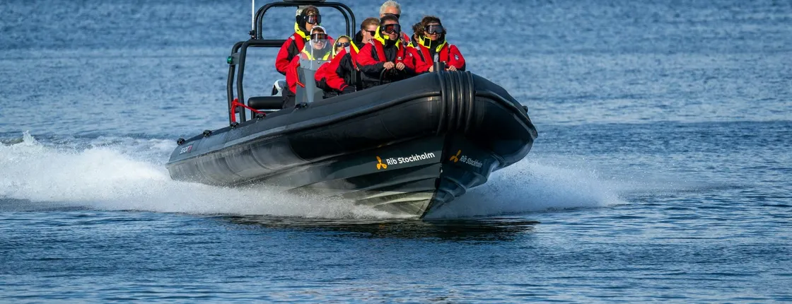 2-hour archipelago tour on a RIB speedboat