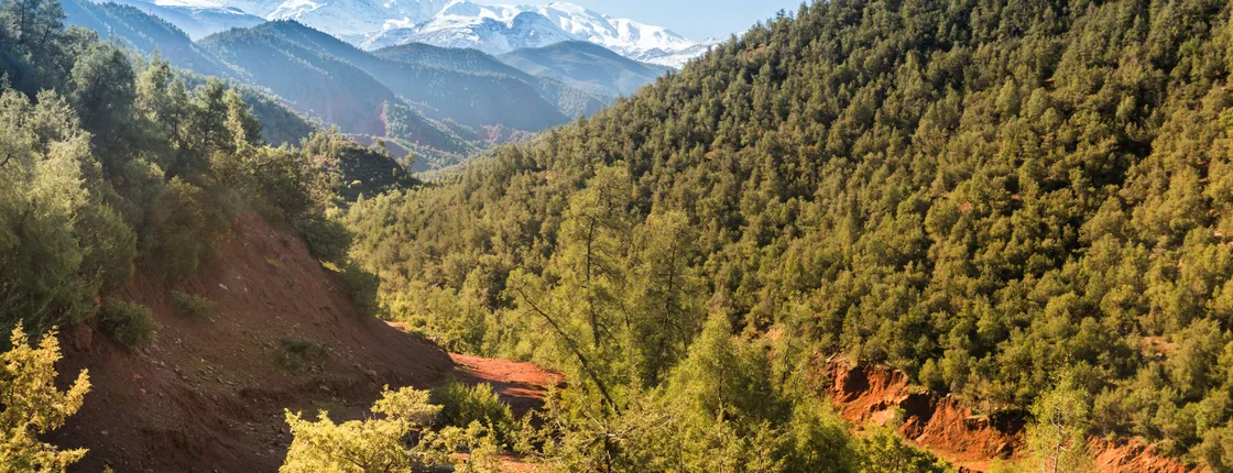 Guided Ourika Valley day trip from Marrakech