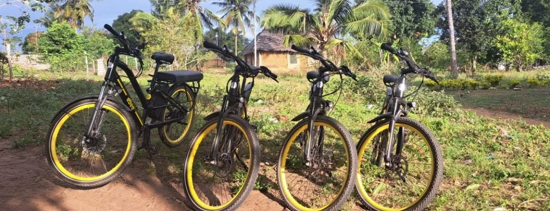 Cultural e-bike tour from Diani Beach