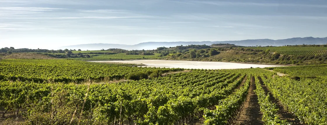 La Rioja winery visit from Bilbao with traditional lunch