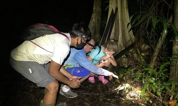 Manuel Antonio Jungle Night Tour