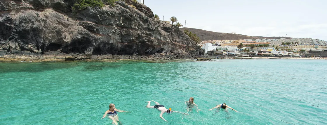 Sailing experience  with dolphin watching  in Fuerteventura